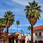 Walk Down Palm Canyon Drive
