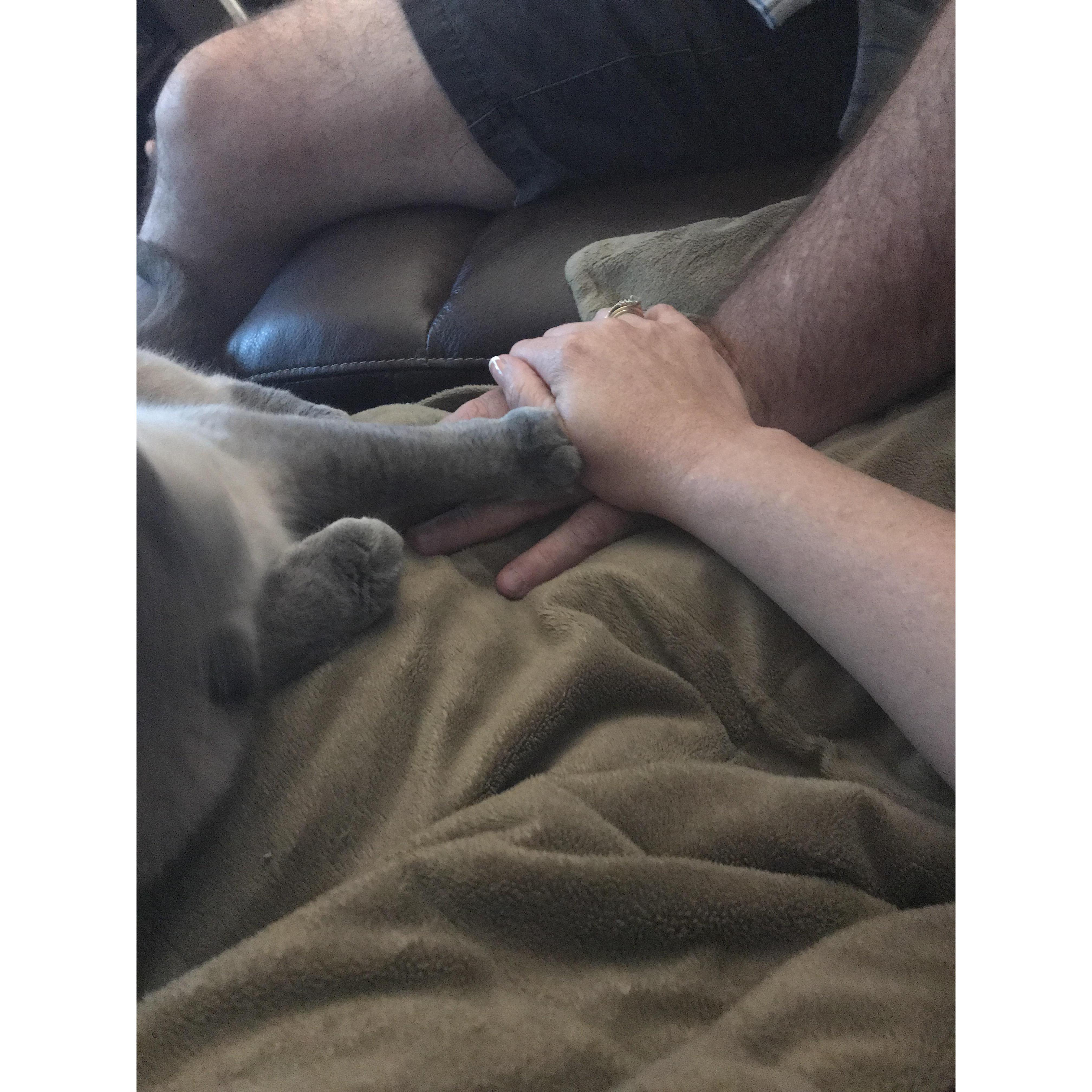 Even the kitties get in on the love fest.