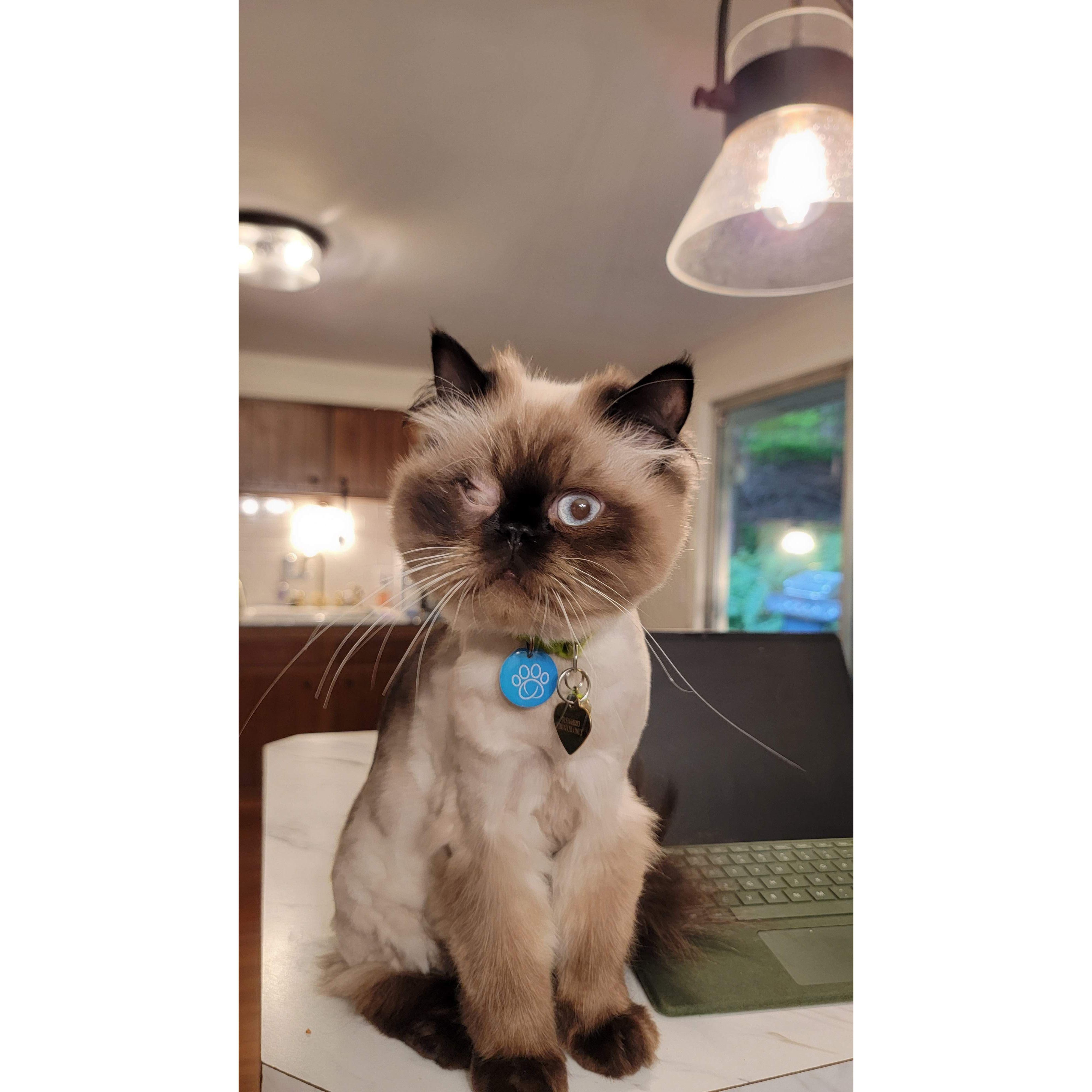 Our one eyed love Ozwald