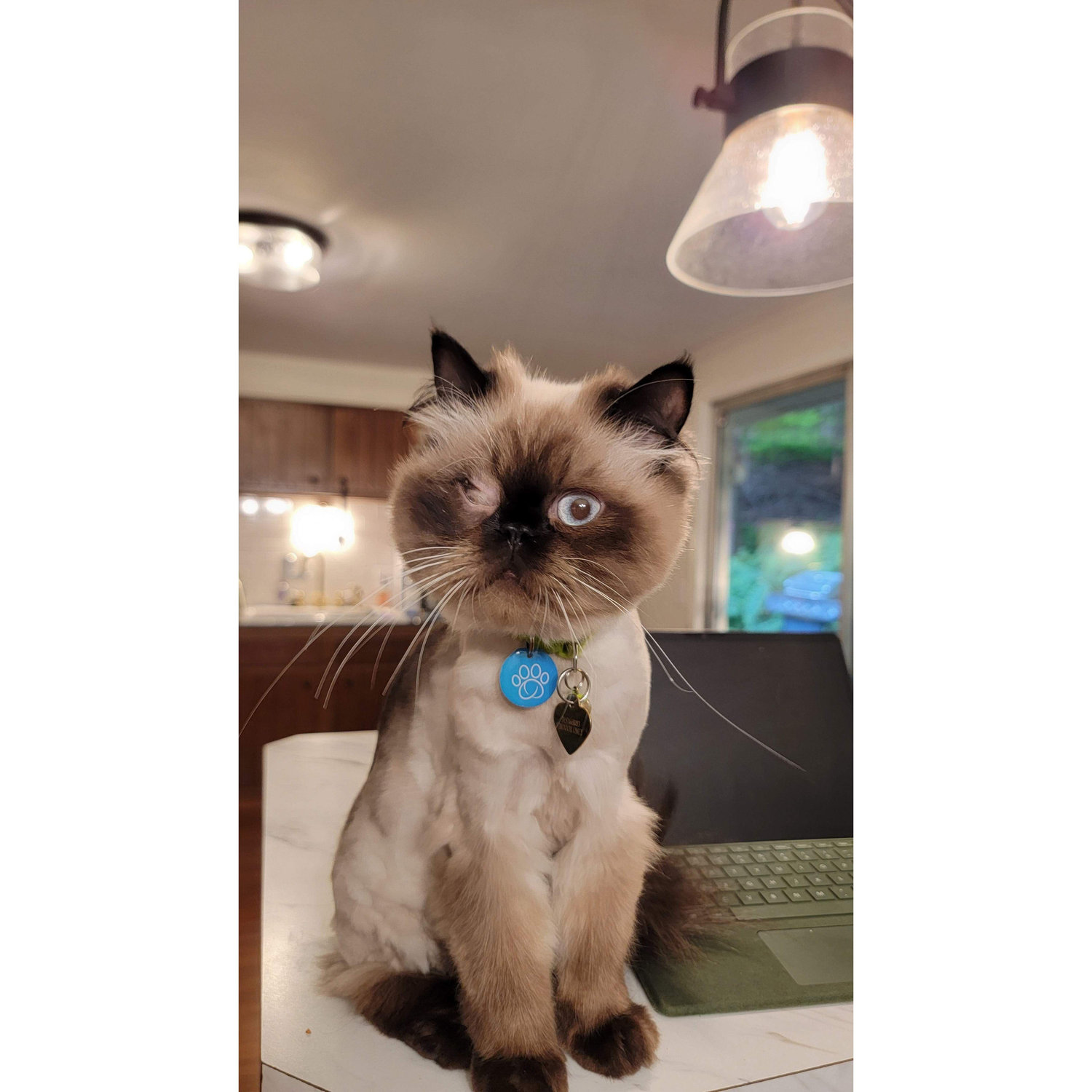 Our one eyed love Ozwald