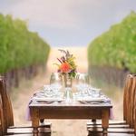 Abeja Winery