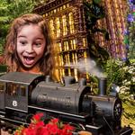 New York Botanical Garden Holiday Train Show