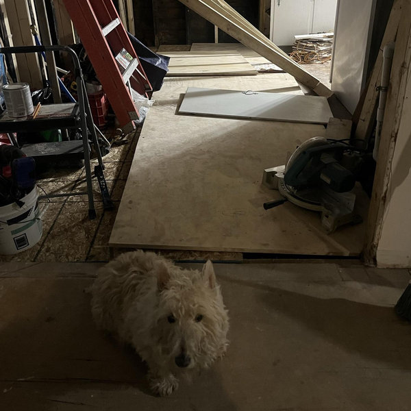 Our Home Renovation Fund