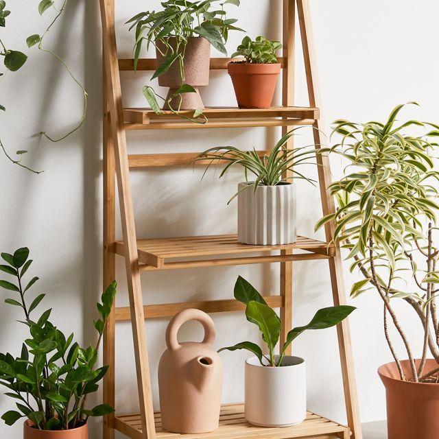 Levy Storage Shelf