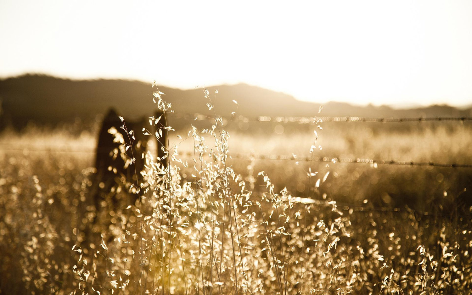 The Wedding Website of Melissa Torres and Rachelle Webber
