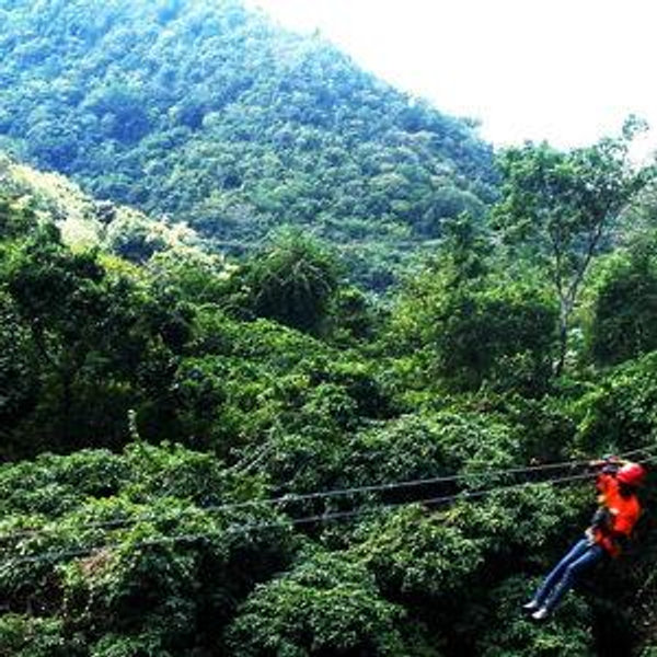 Antigua Rainforest Zip-Line Tour
