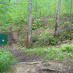 Kanawha State Forest