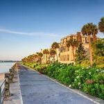 Walk the Battery!