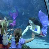 Downtown Aquarium