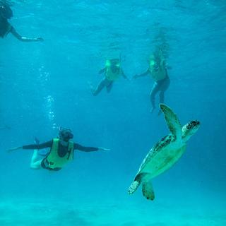 National Park Snorkeling for 2 - US Virgin Islands