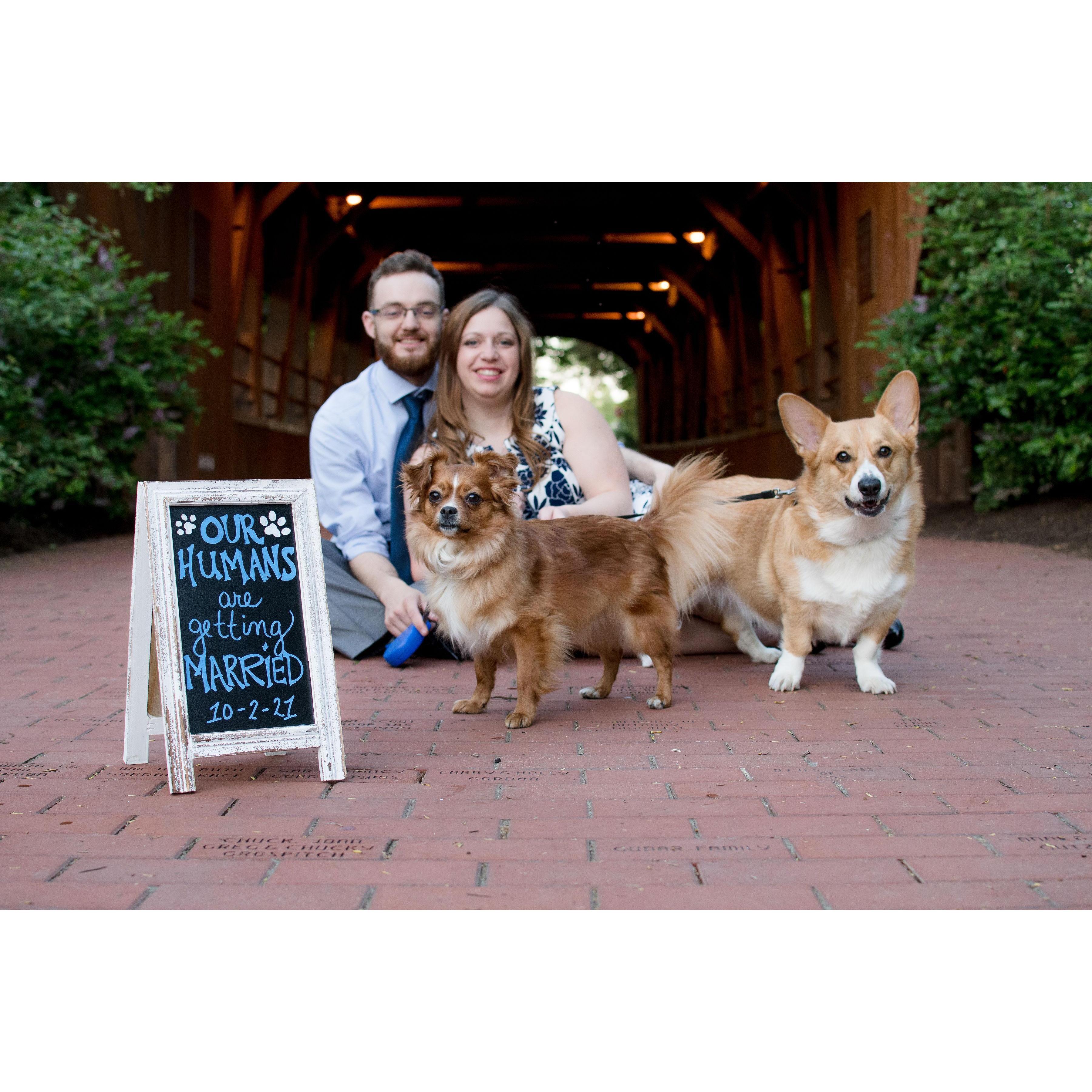 Got to get our engagement photos done with our favorite fur babies!