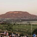 Gilvesy Winery - Wine Tasting
