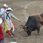 Angola Prison Rodeo & Arts