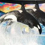 SeaWorld Orlando