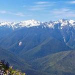 Olympic National Park