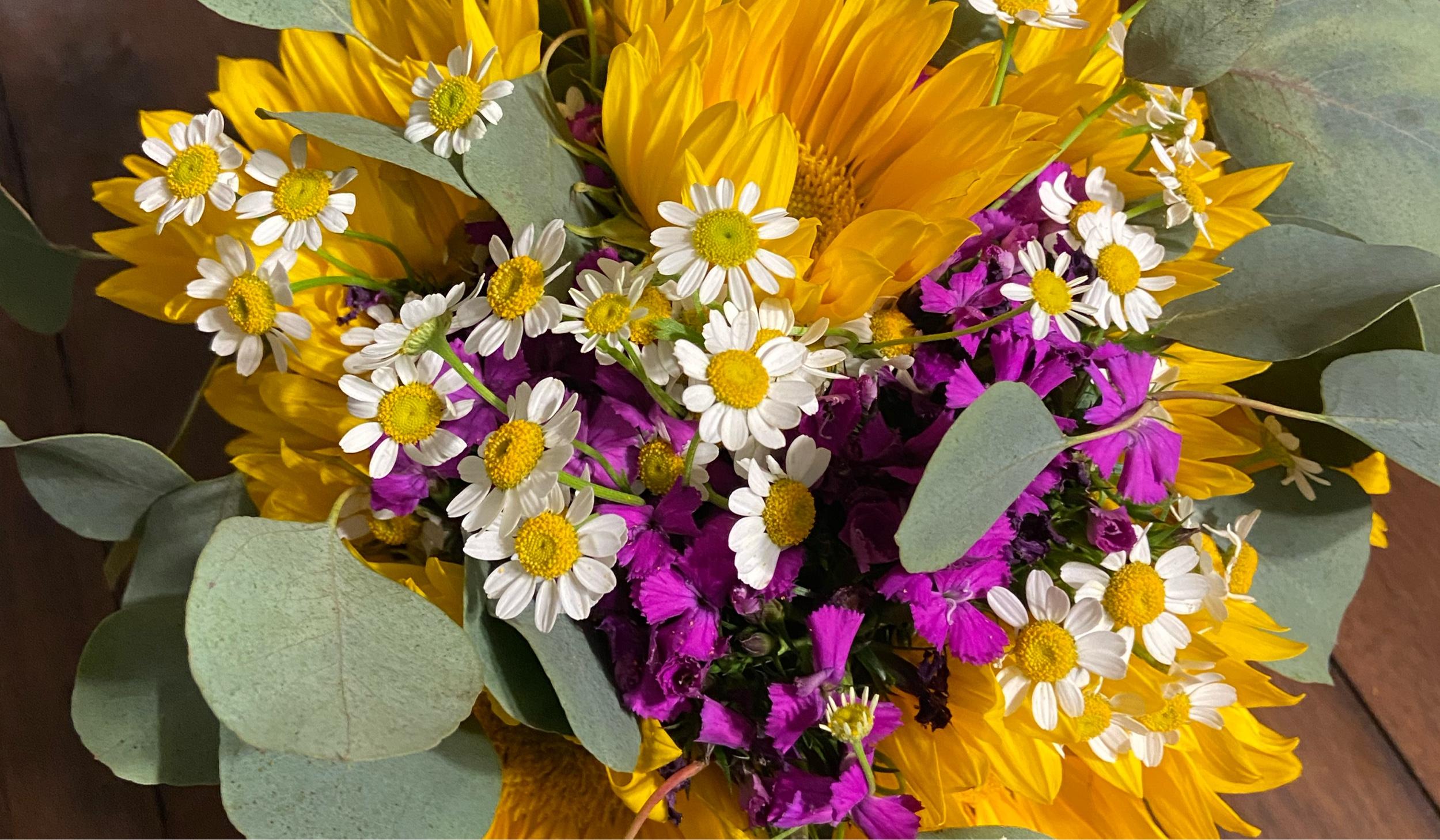 The Wedding Website of Sabrina Rourke and Warren Wiley