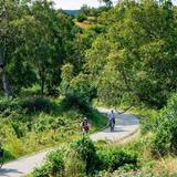 Kincaid Park