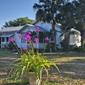 Our Home Improvement Fund