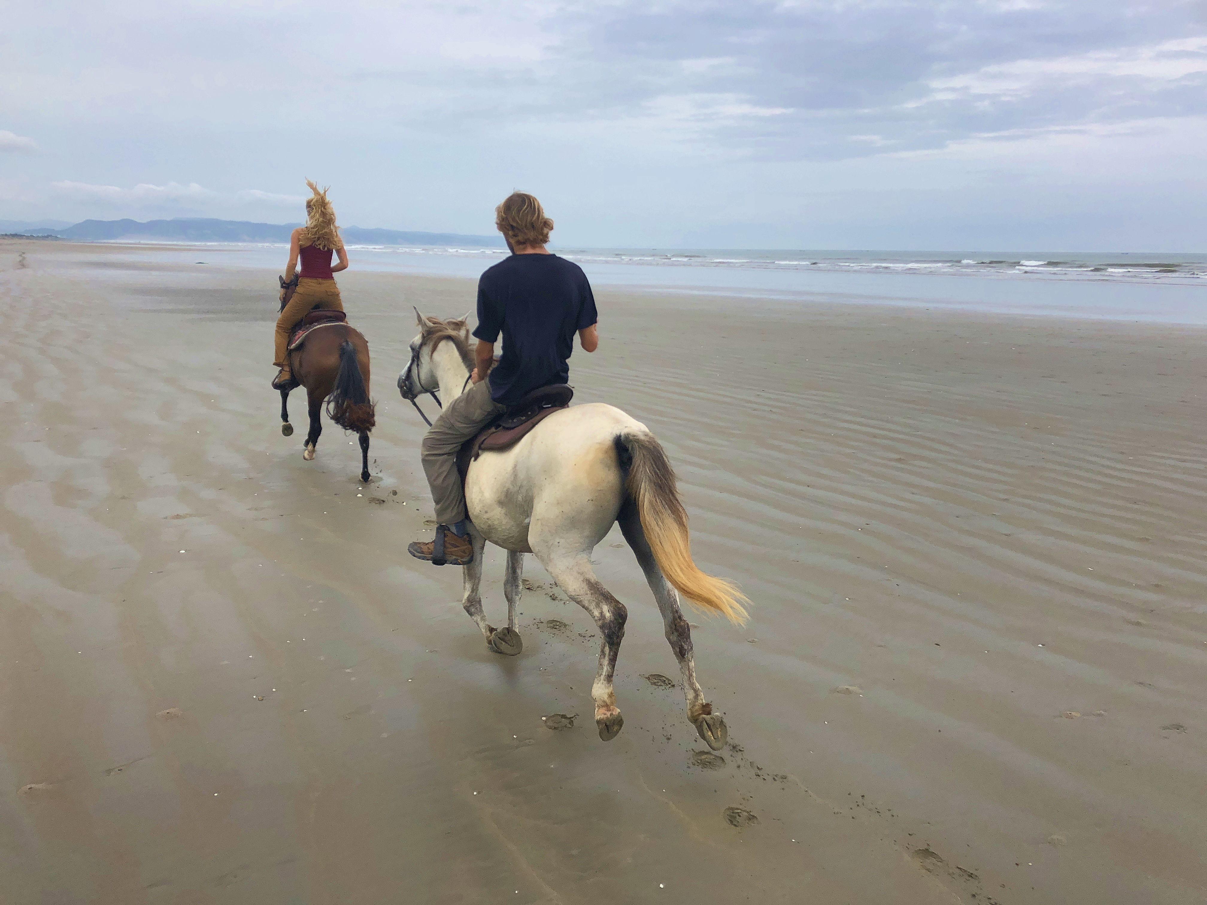 The Wedding Website of Tara Jane Niebur and Sean Bradley Prescott