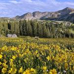 Little Cottonwood Canyon