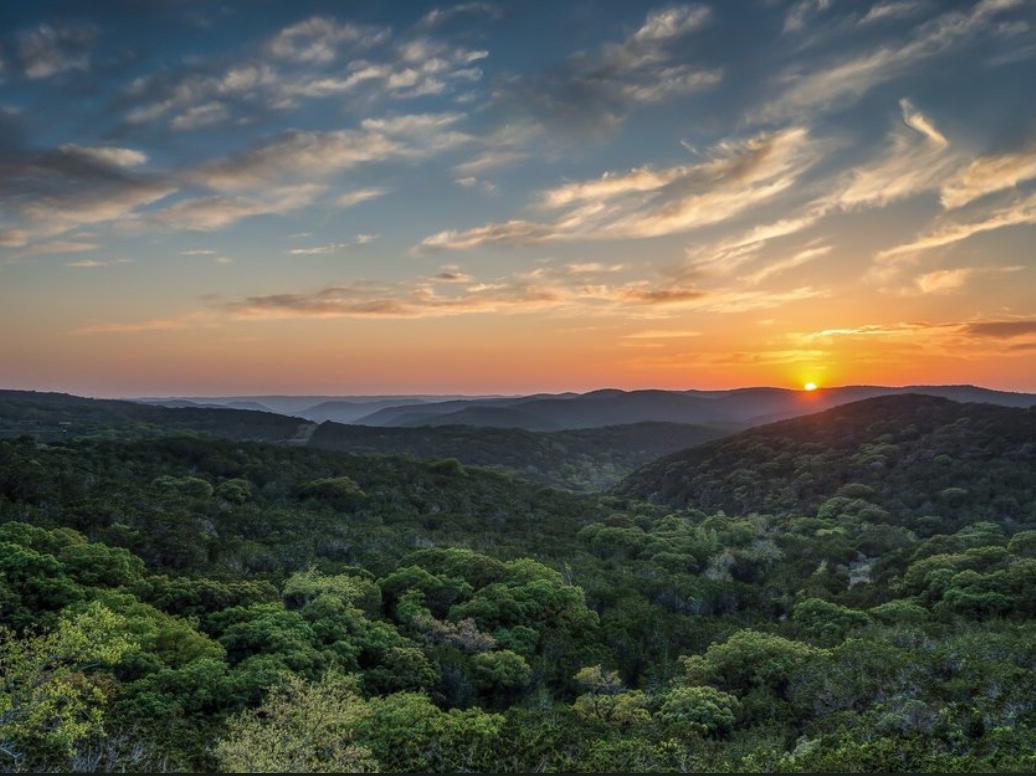 The Wedding Website of Ebony Forcey and Lamarcus Feggins