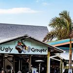 The Ugly Grouper