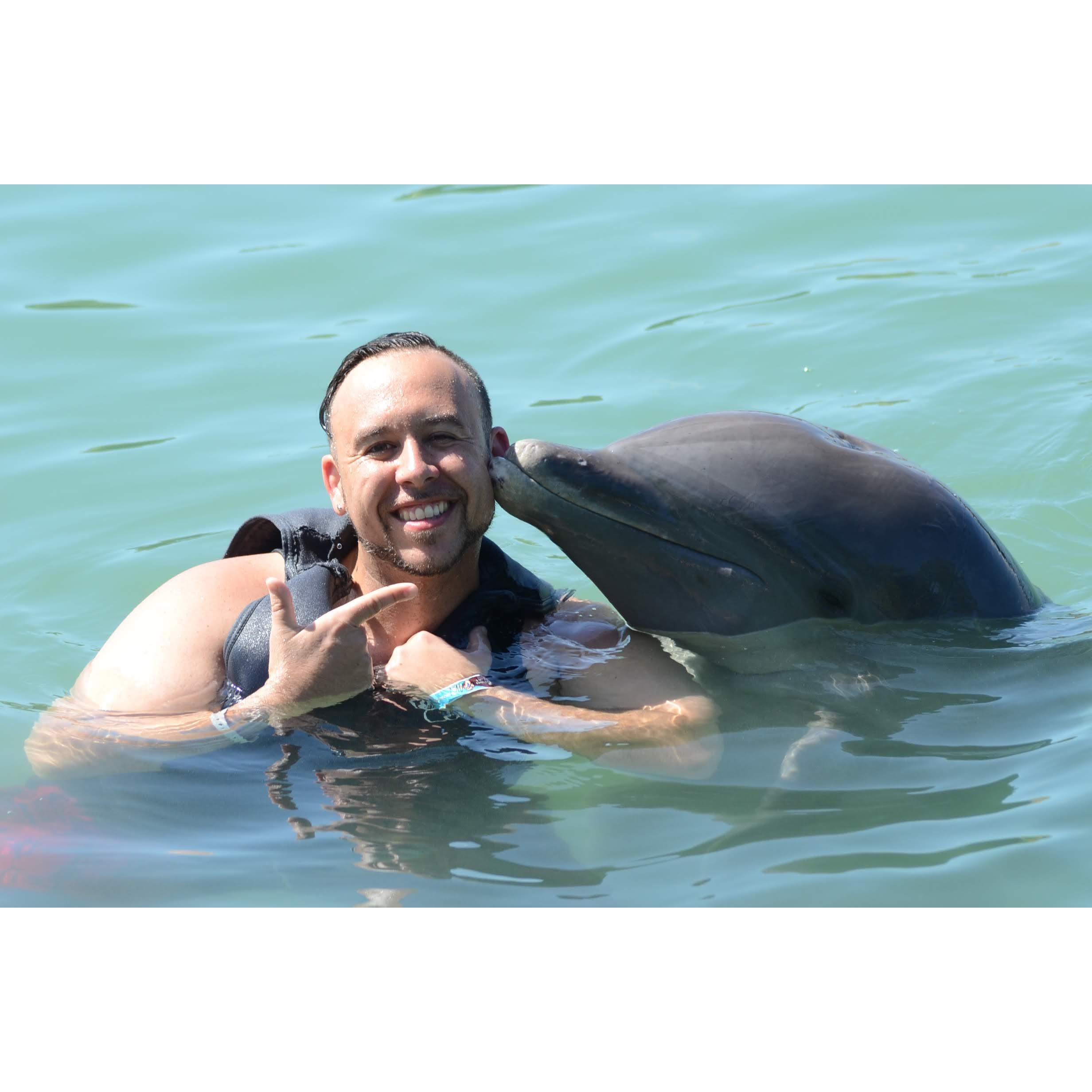 Dolphin Cove Jamaica