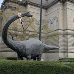 Carnegie Museum of Natural History