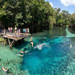 Blue Spring State Park