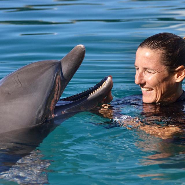 Swimming with Dolphins