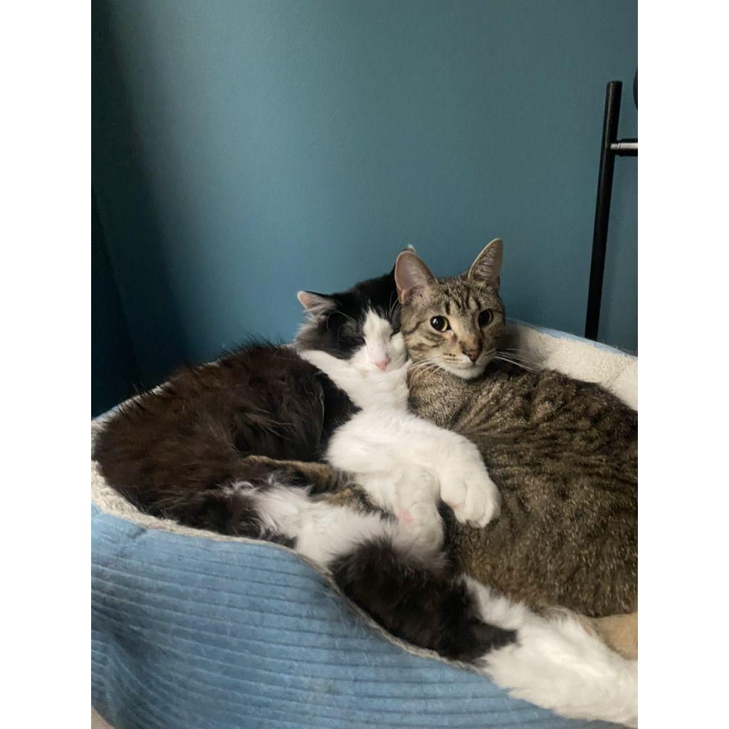 Gus & Monk