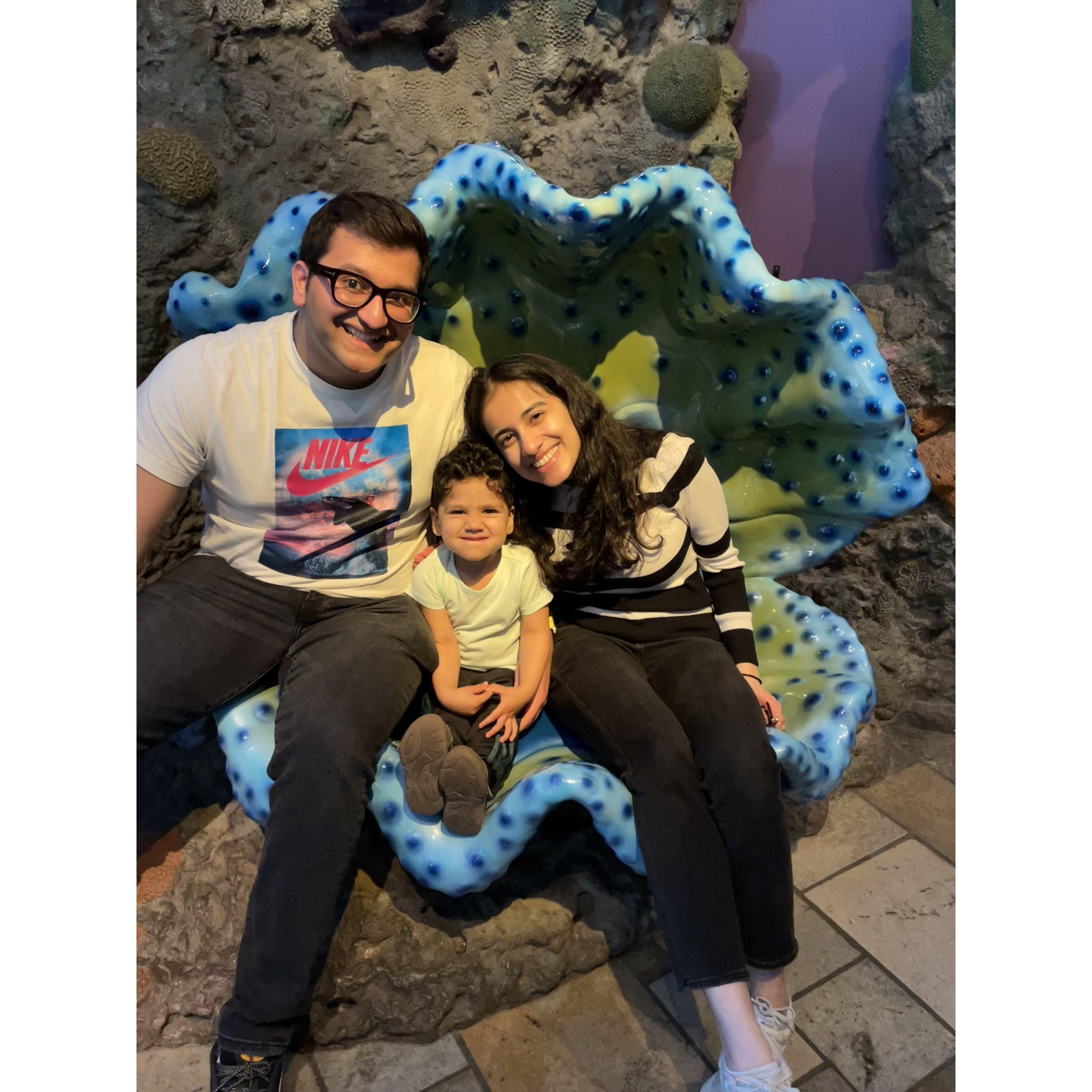 Exploring the Monterey Aquarium with our older nephew, Lev