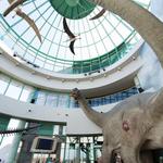 North Carolina Museums