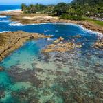 Snorkel at Shark’s Cove
