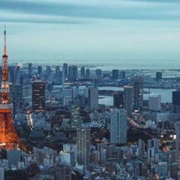 Tokyo Honeymoon Hotel