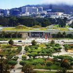 California Academy of Sciences