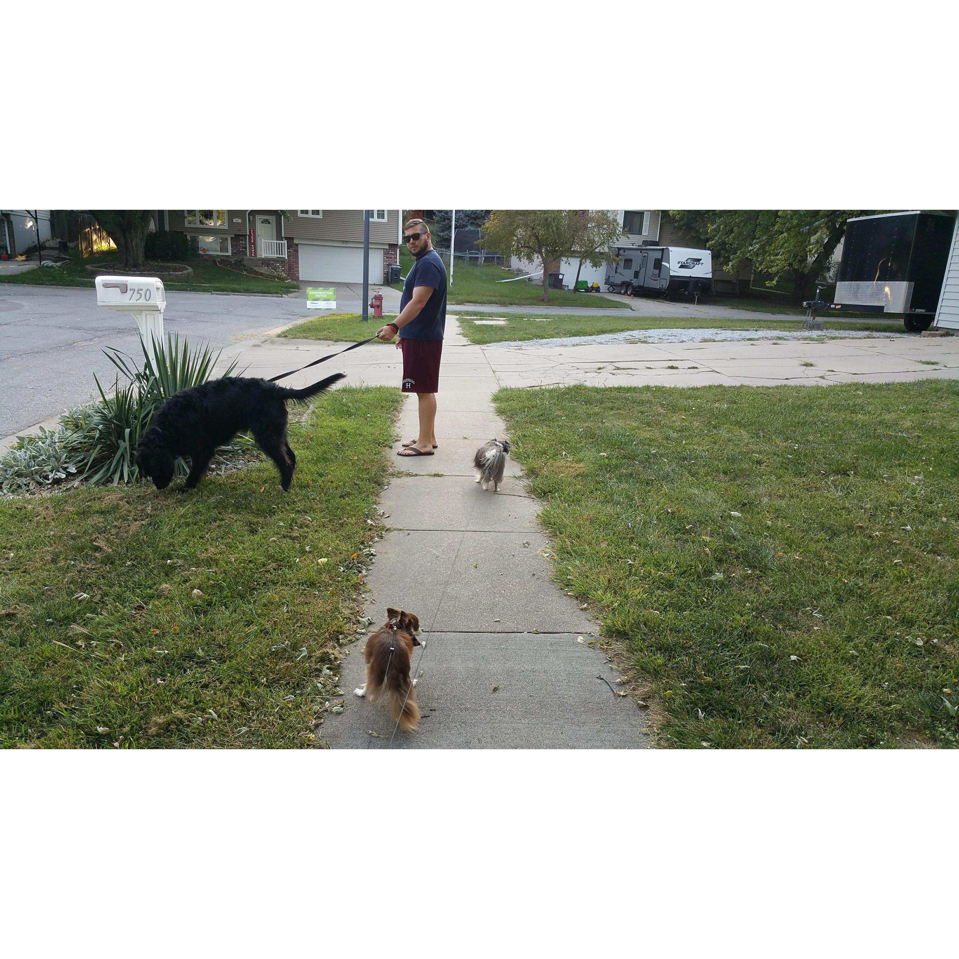 We have so many dog friends!