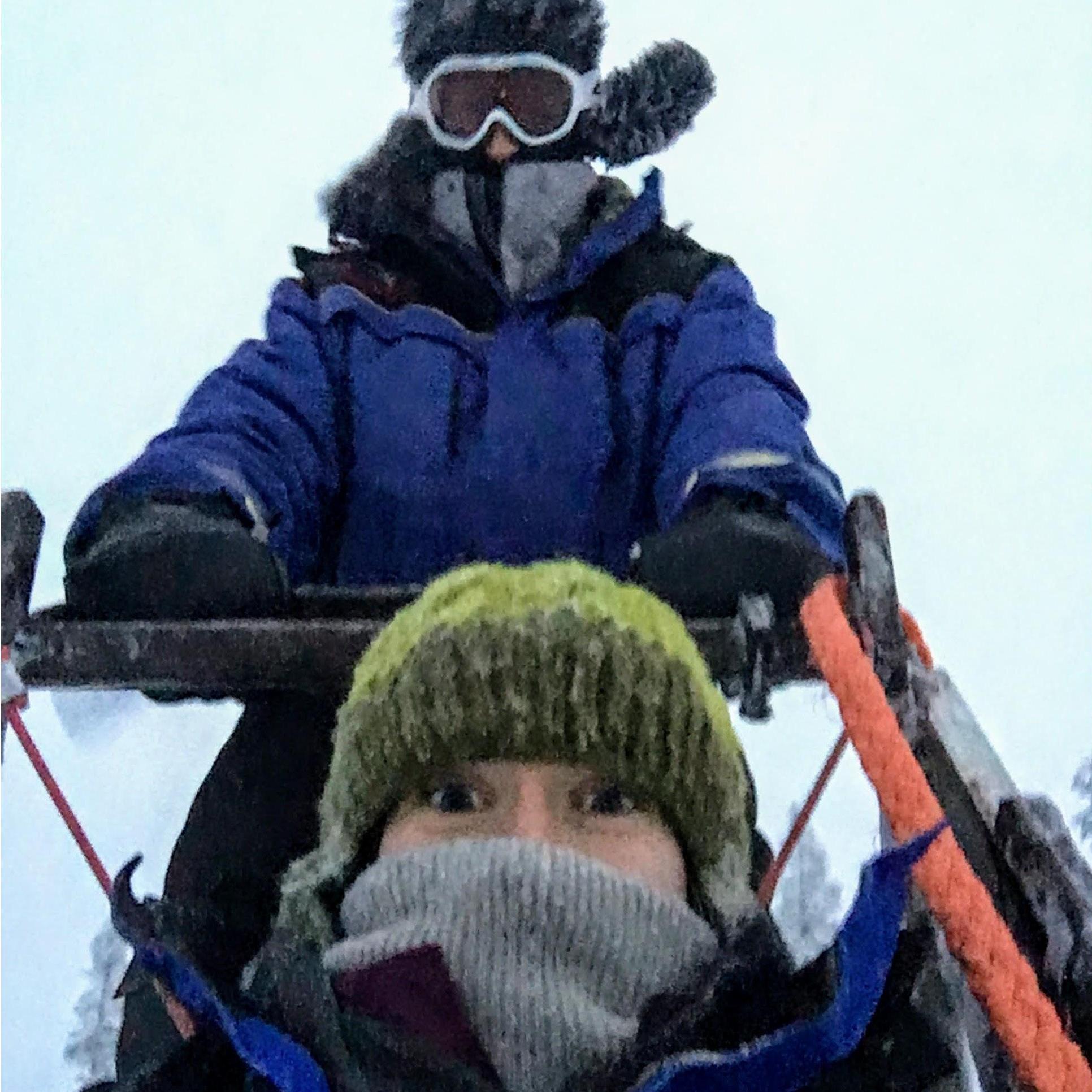 dog sledding in Finland
