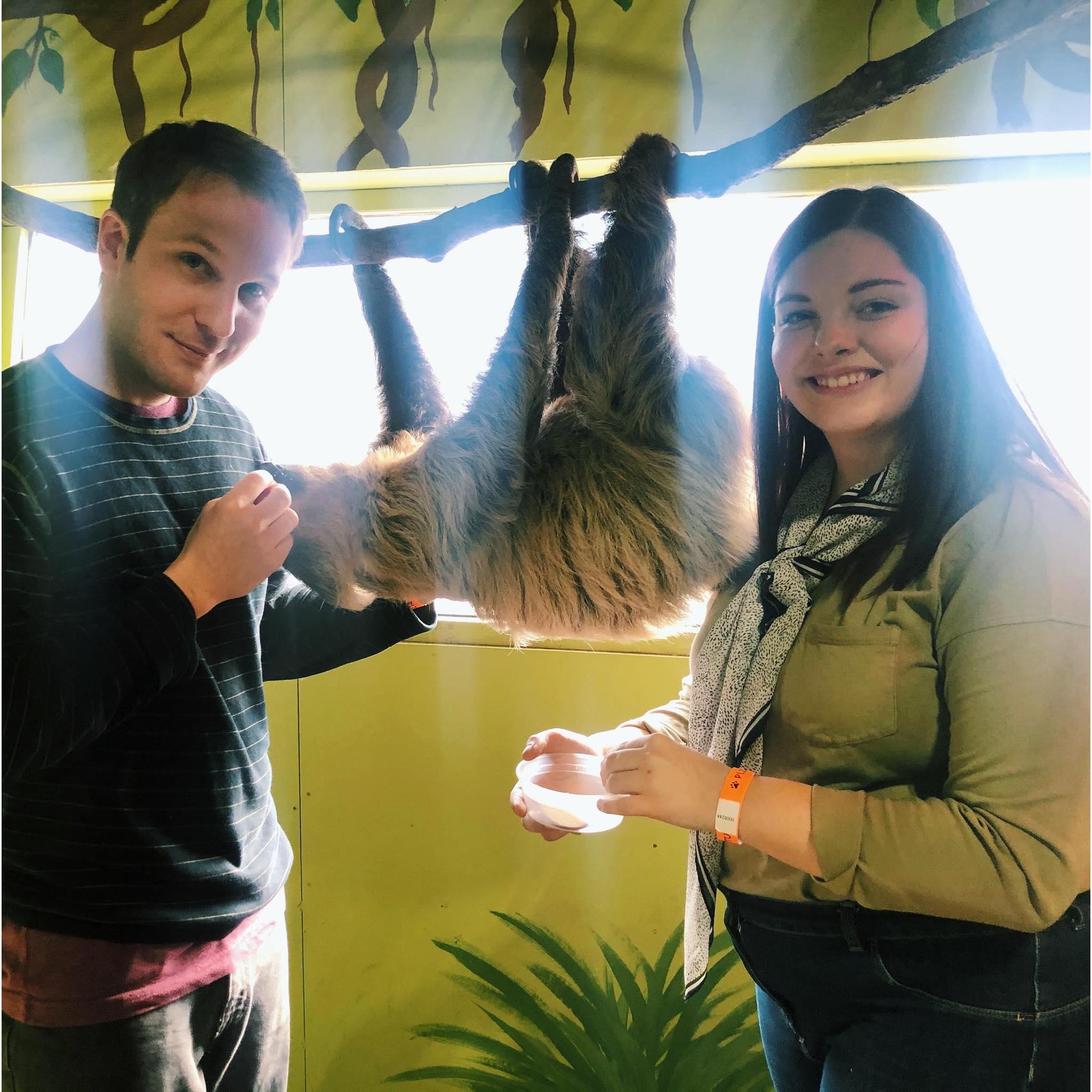 At sketchy zoo in Branson where we got to meet and feed some cute sloths!