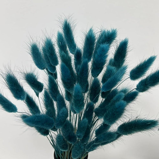 120pcs Bunny Tails Dried Flowers Spring Summer Plant Boho Pampas Grass 17 inch for Home Decor Wedding Bouquet Natural Flower Arrangements (Teal)