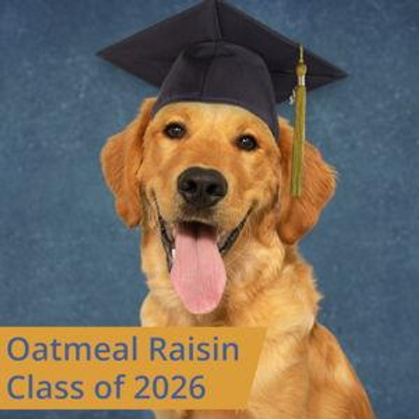 Oatmeal's College Fund