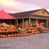 Orr's Farm Market