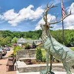 Banner Elk