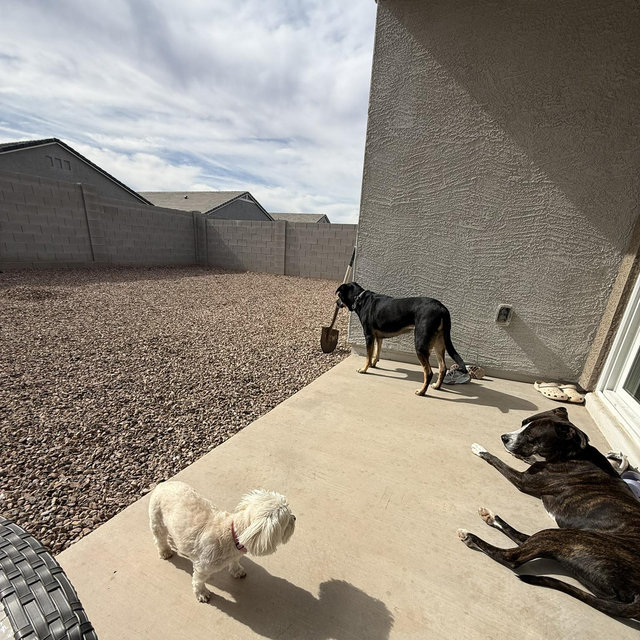 Backyard Fund