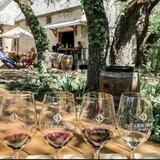 Parmeson Wines