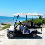 Rent a Golf Cart