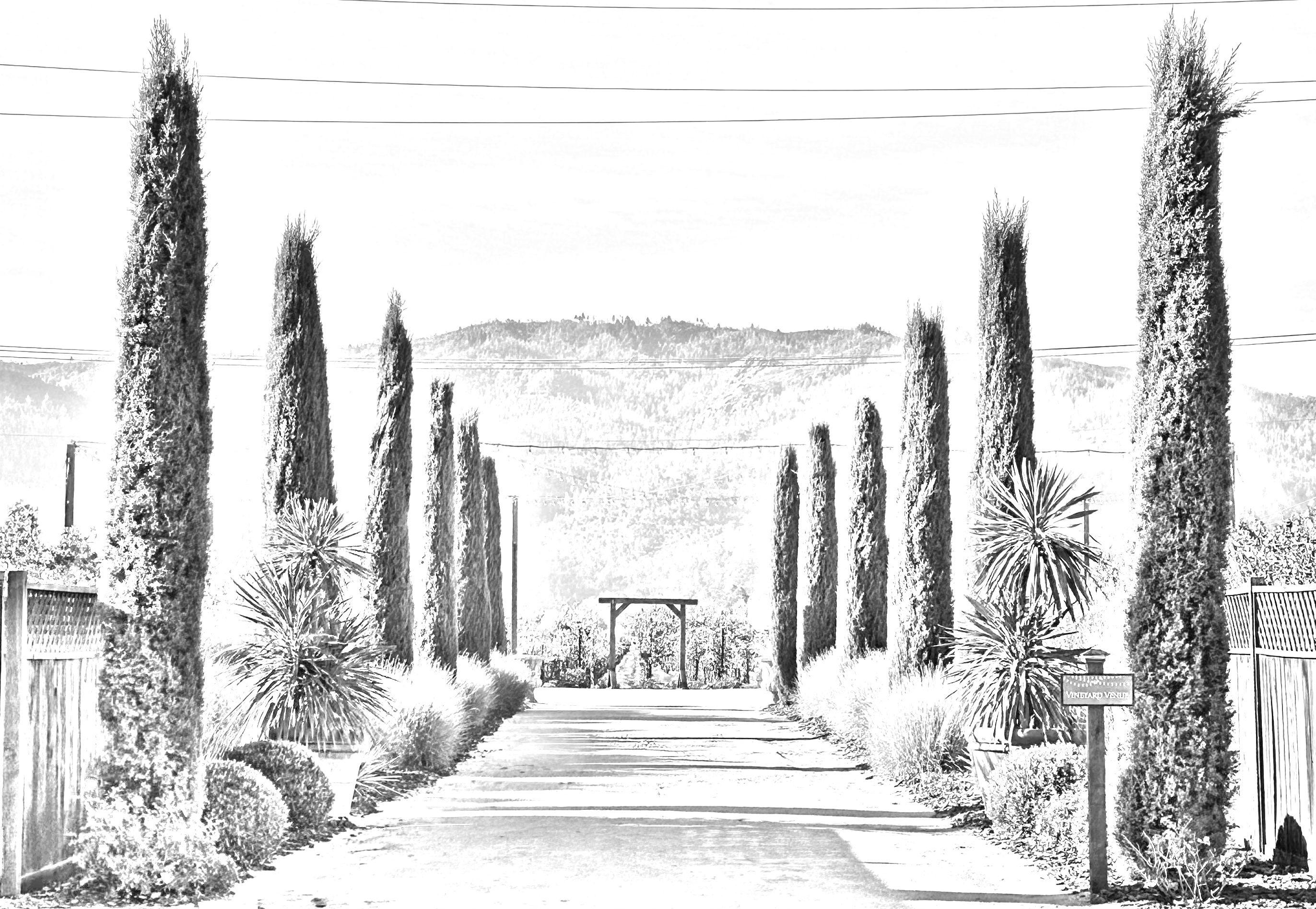 The Wedding Website of Suzanne Alexa Turry and Samuel Joseph Watmore