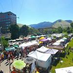 Clark Fork Market