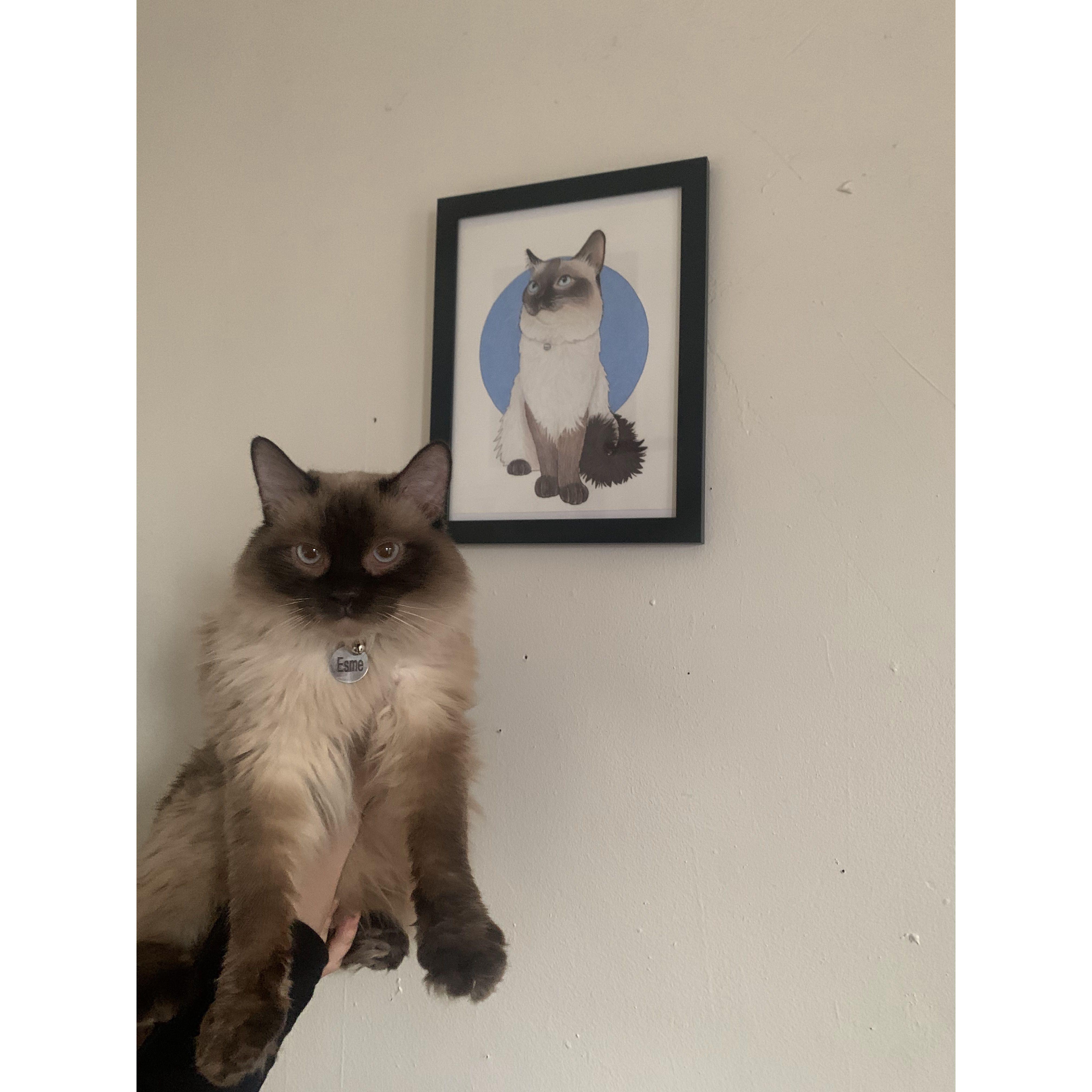 The one and only, Esme. She owns us.