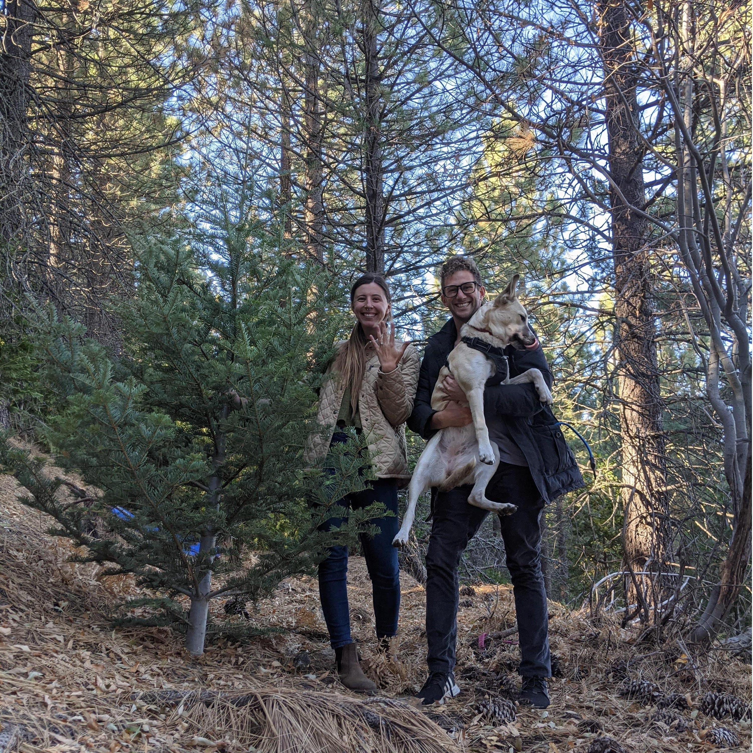 Immediately after she said "Yes"!